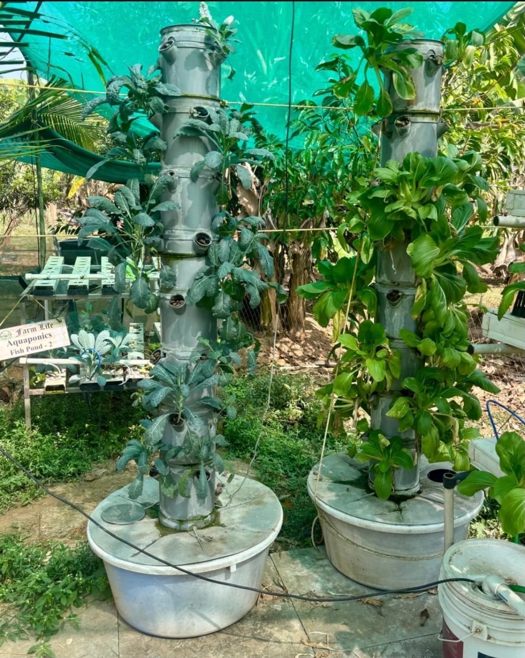 Visitors spending time together at the farm