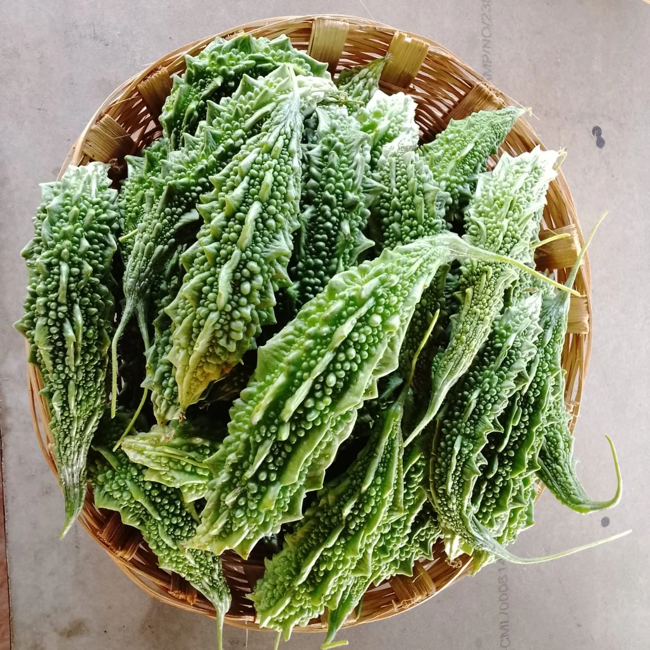 Bitter Gourd