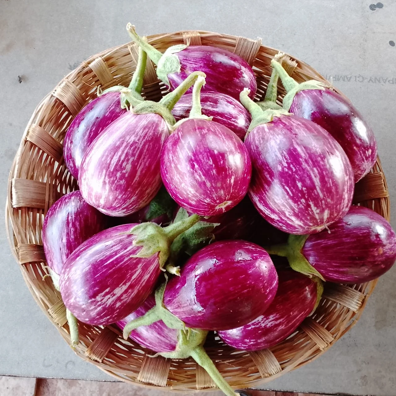 Brinjal (purple/green)