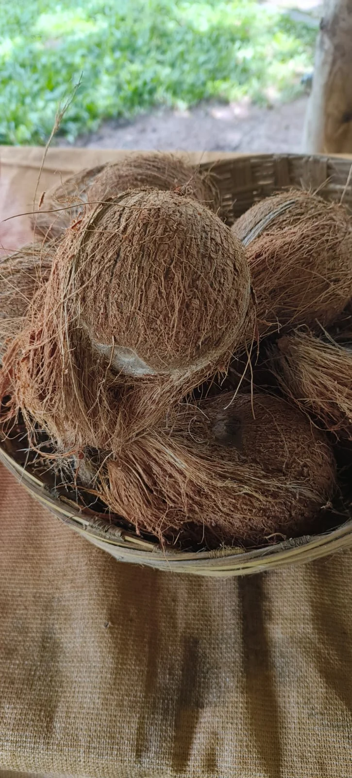 Cleaned Coconut