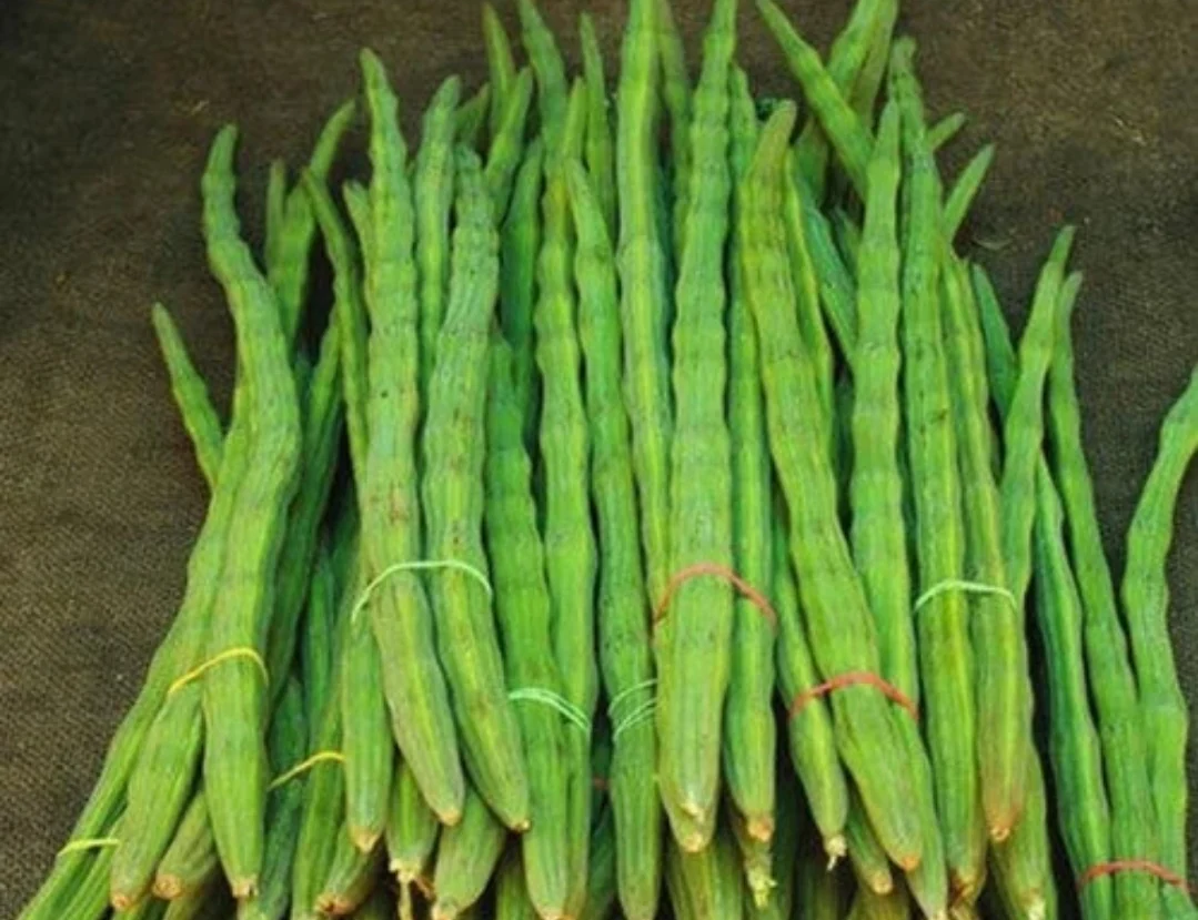 Drumsticks (medium size)
