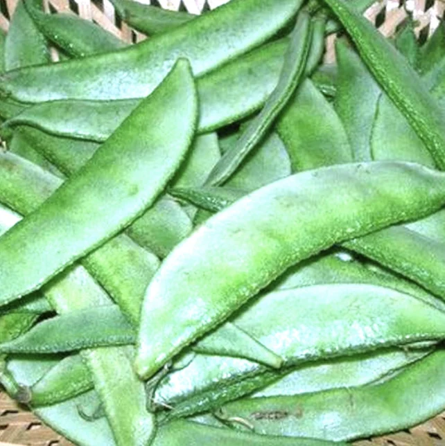 Flat Runner Beans