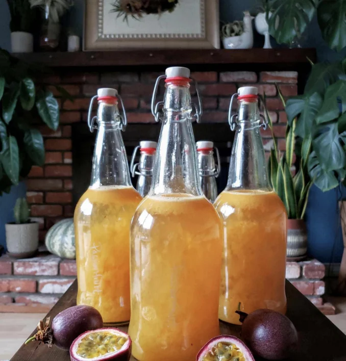 Kombucha Mini