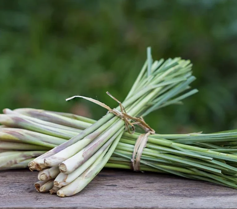 Lemongrass