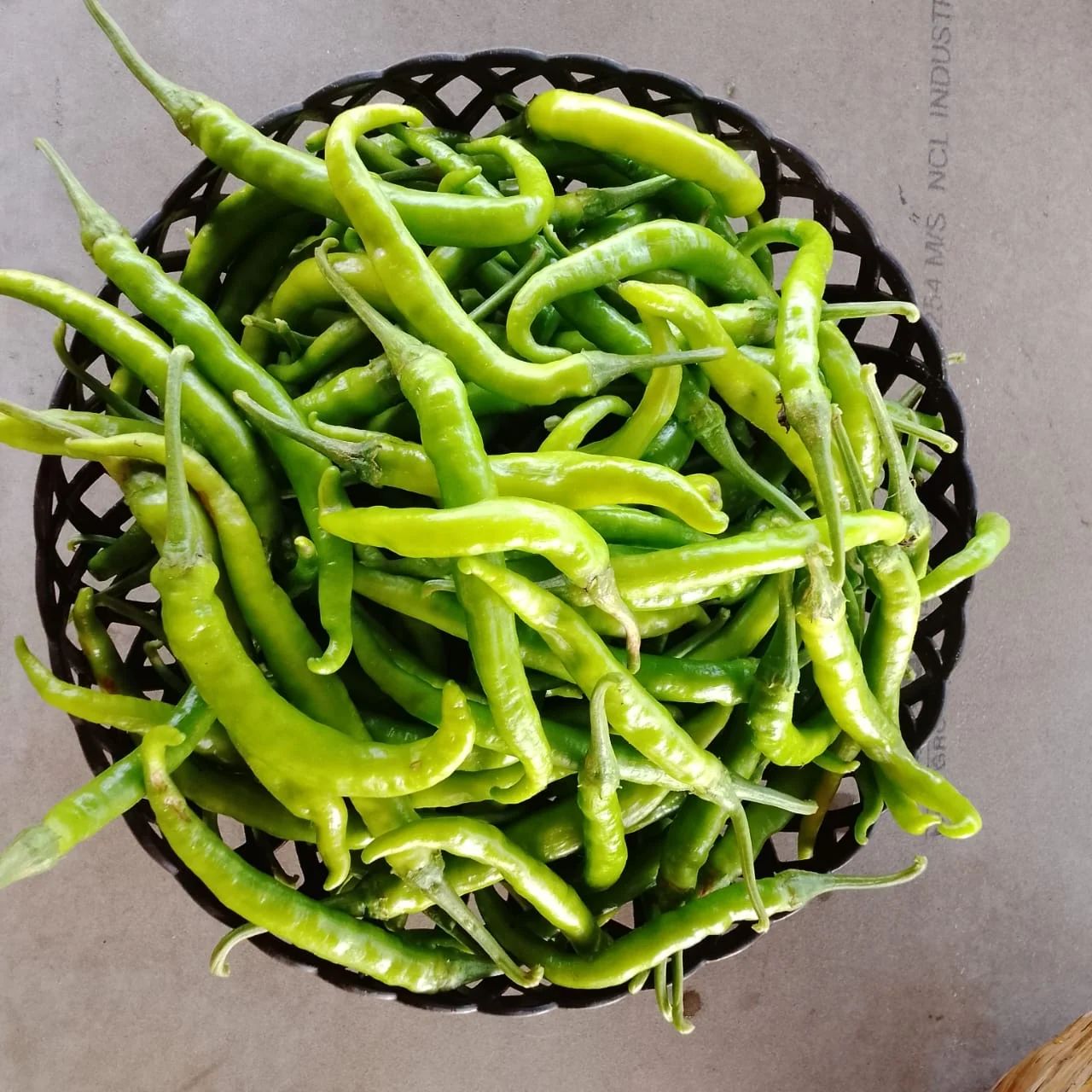Long Green Chilli