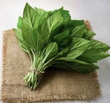 Malabar Spinach