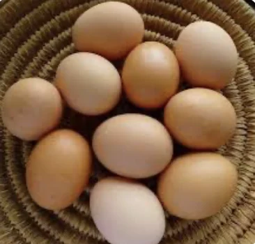 Organic Brown Eggs