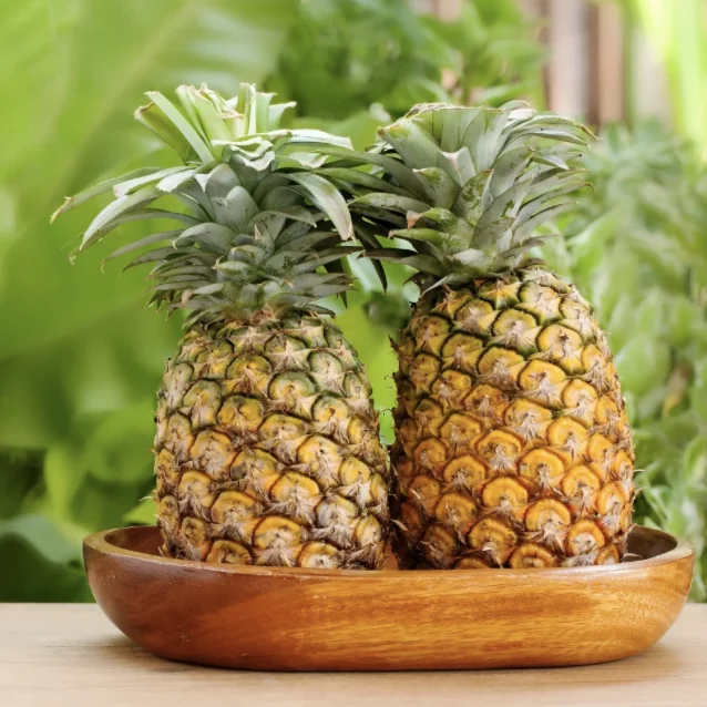 Pineapple
