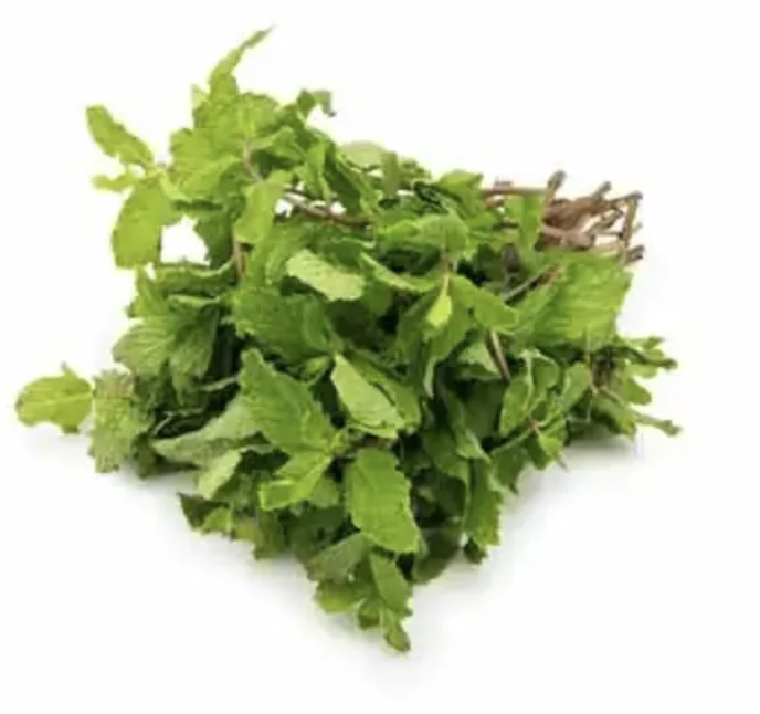Pudina