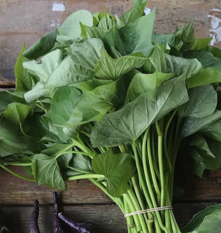 Sweet Potato Leaves